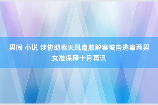 男同 小说 涉协助蔡天凤遭肢解案被告逃窜　两男女准保释十月再讯