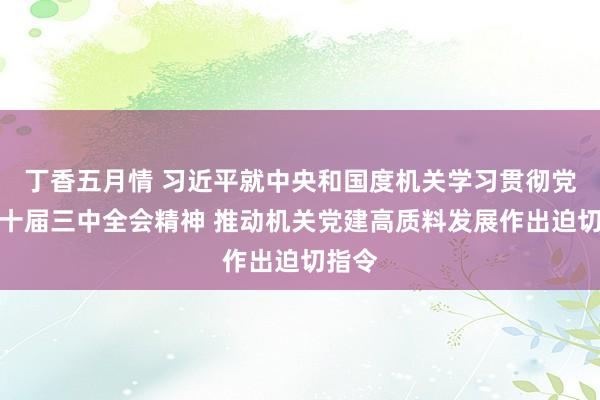 丁香五月情 习近平就中央和国度机关学习贯彻党的二十届三中全会精神 推动机关党建高质料发展作出迫切指令