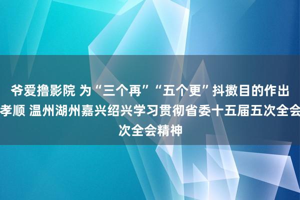 爷爱撸影院 为“三个再”“五个更”抖擞目的作出更大孝顺 温州湖州嘉兴绍兴学习贯彻省委十五届五次全会精神