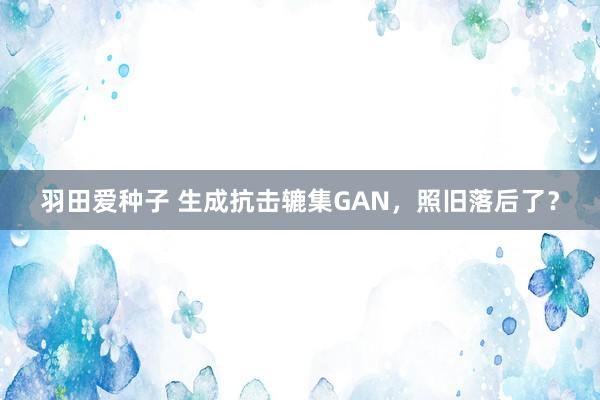 羽田爱种子 生成抗击辘集GAN，照旧落后了？