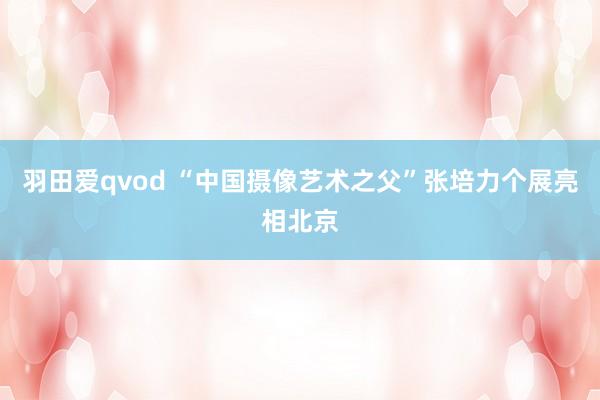 羽田爱qvod “中国摄像艺术之父”张培力个展亮相北京