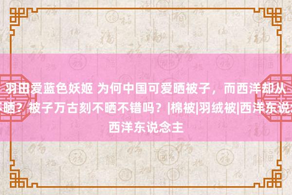 羽田爱蓝色妖姬 为何中国可爱晒被子，而西洋却从来不晒？被子万古刻不晒不错吗？|棉被|羽绒被|西洋东说念主