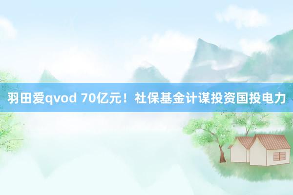 羽田爱qvod 70亿元！社保基金计谋投资国投电力