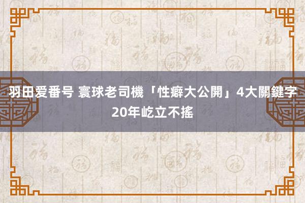 羽田爱番号 寰球老司機「性癖大公開」　4大關鍵字20年屹立不搖