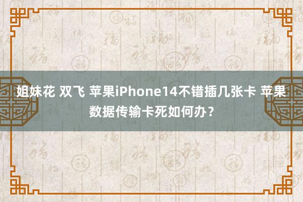 姐妹花 双飞 苹果iPhone14不错插几张卡 苹果数据传输卡死如何办？