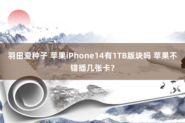 羽田爱种子 苹果iPhone14有1TB版块吗 苹果不错插几张卡？