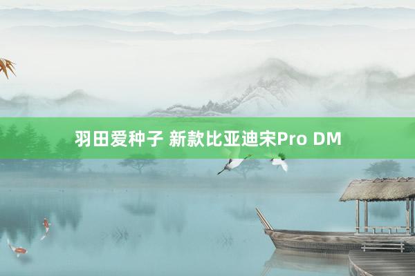 羽田爱种子 新款比亚迪宋Pro DM