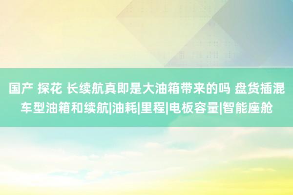 国产 探花 长续航真即是大油箱带来的吗 盘货插混车型油箱和续航|油耗|里程|电板容量|智能座舱