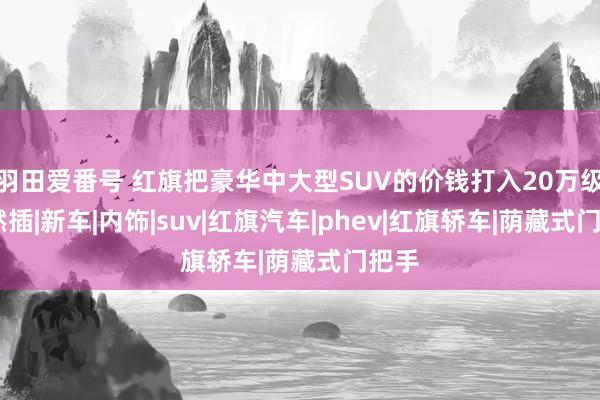 羽田爱番号 红旗把豪华中大型SUV的价钱打入20万级，依然插|新车|内饰|suv|红旗汽车|phev|红旗轿车|荫藏式门把手