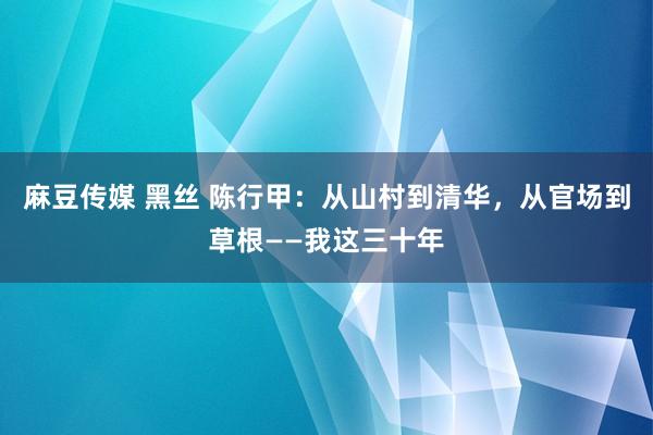 麻豆传媒 黑丝 陈行甲：从山村到清华，从官场到草根——我这三十年