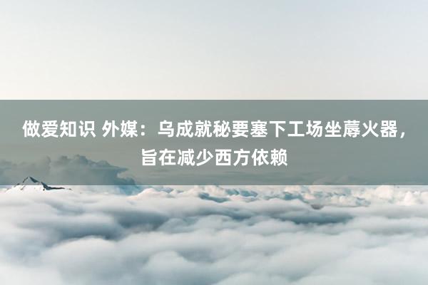 做爱知识 外媒：乌成就秘要塞下工场坐蓐火器，旨在减少西方依赖