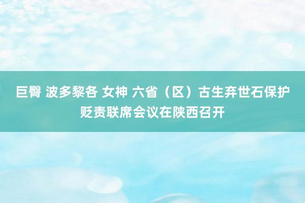 巨臀 波多黎各 女神 六省（区）古生弃世石保护贬责联席会议在陕西召开