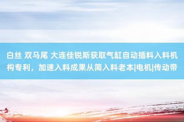 白丝 双马尾 大连佳锐斯获取气缸自动插料入料机构专利，加速入料成果从简入料老本|电机|传动带