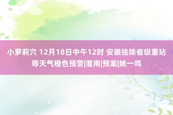 小萝莉穴 12月18日中午12时 安徽祛除省级重玷辱天气橙色预警|淮南|预案|姚一鸣